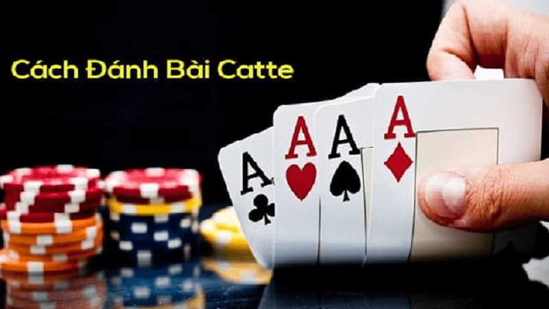 Hướng dẫn cách chơi catte chi tiết nhất cho game thủ