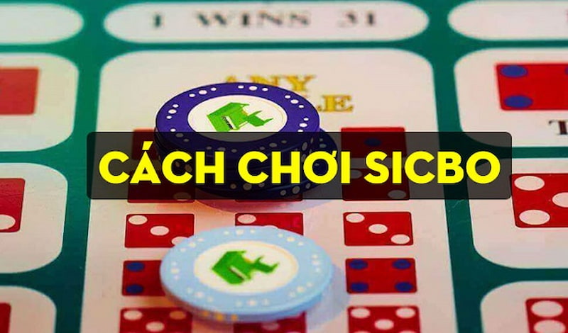 Hướng dẫn chơi game Sicbo manclub chi tiết nhất dành cho các tân thủ