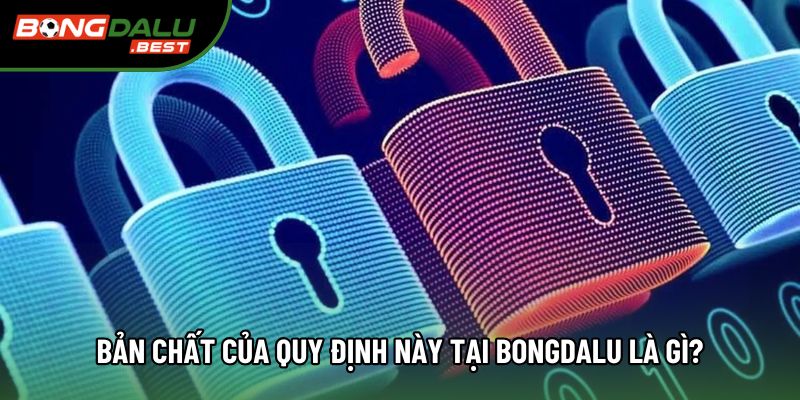 Bản chất của quy định này tại Bongdalu là gì? Bản chất của quy định này tại Bongdalu là gì?