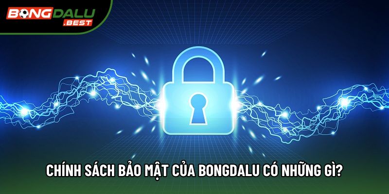 Chính sách bảo mật của Bongdalu có những gì? Chính sách bảo mật của Bongdalu có những gì?