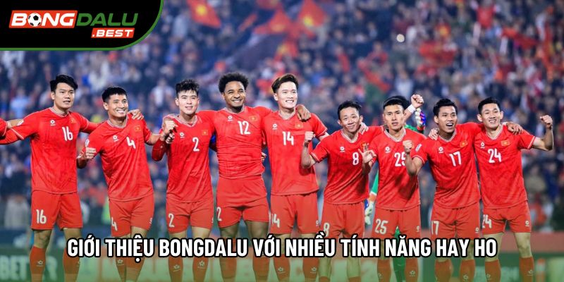 Giới thiệu Bongdalu với nhiều tính năng hay ho Giới thiệu Bongdalu với nhiều tính năng hay ho