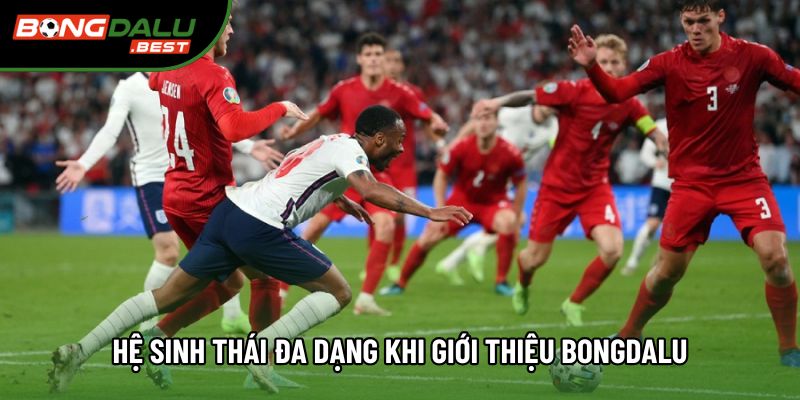 Hệ sinh thái đa dạng khi giới thiệu Bongdalu Hệ sinh thái đa dạng khi giới thiệu Bongdalu