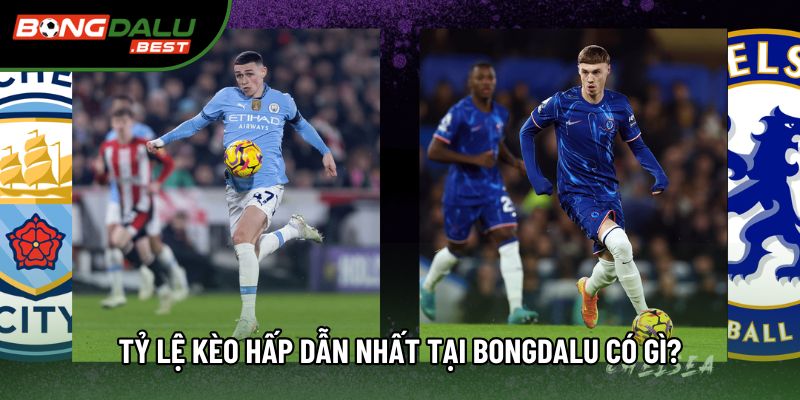 Tỷ lệ kèo hấp dẫn nhất tại Bongdalu có gì? Tỷ lệ kèo hấp dẫn nhất tại Bongdalu có gì?